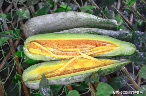 甘肃籍网红吃瓜,揭秘瓜界风云，品味家乡味道